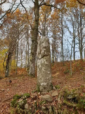Menhir de Picarel le Haut — photo 2