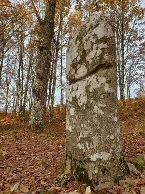 Menhir de Picarel le Haut — photo 3
