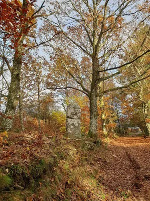 Menhir de Picarel le Haut — photo 4
