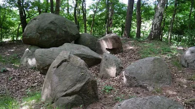 Großsteingräber im Giersfeld — photo 3