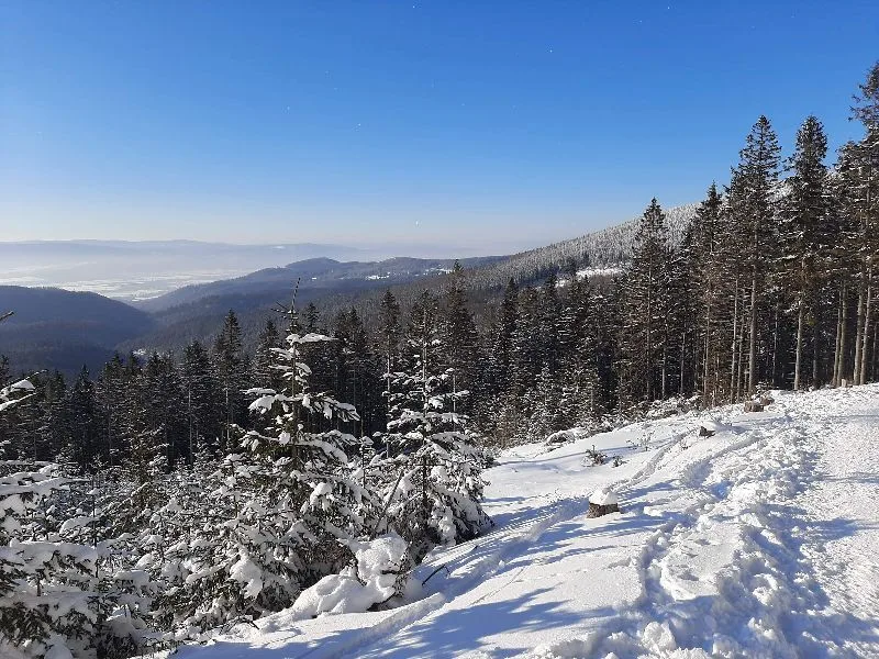Śnieżnik mountain
