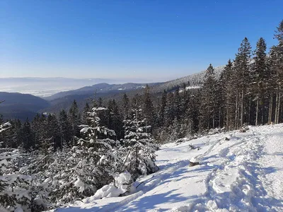Śnieżnik mountain