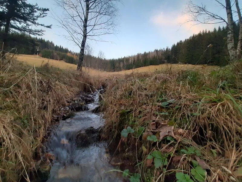 Bielice village