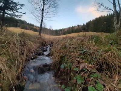 Bielice village — photo 1
