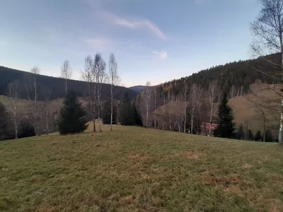 Bielice village — photo 2