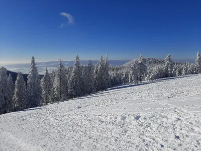 Śnieżnik mountain — photo 2