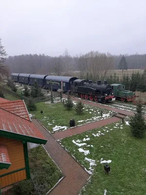 Tsar's restaurant