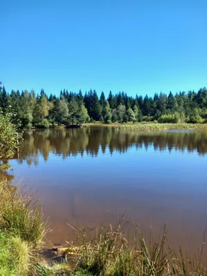 Lac Luc — photo 4