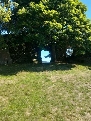 Château Le Luc — photo 2