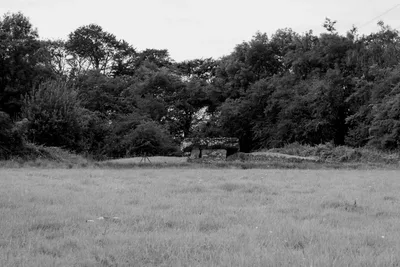 Tinkinswood Burial Chamber — photo 2