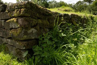 Tinkinswood Burial Chamber — photo 3