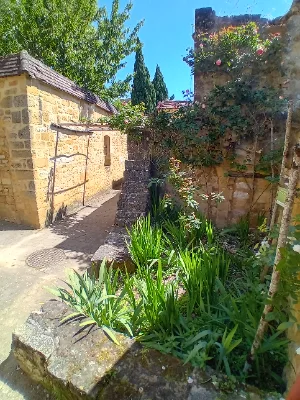 Les jardins de la rue Zigzag — photo 3