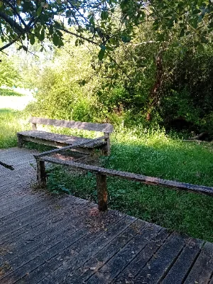 Zone humide de la clède — photo 6