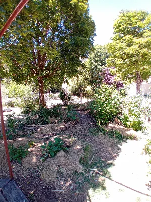 Agora d'agriculture urbaine — photo 4