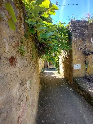 Les jardins de la rue Zigzag — photo 6
