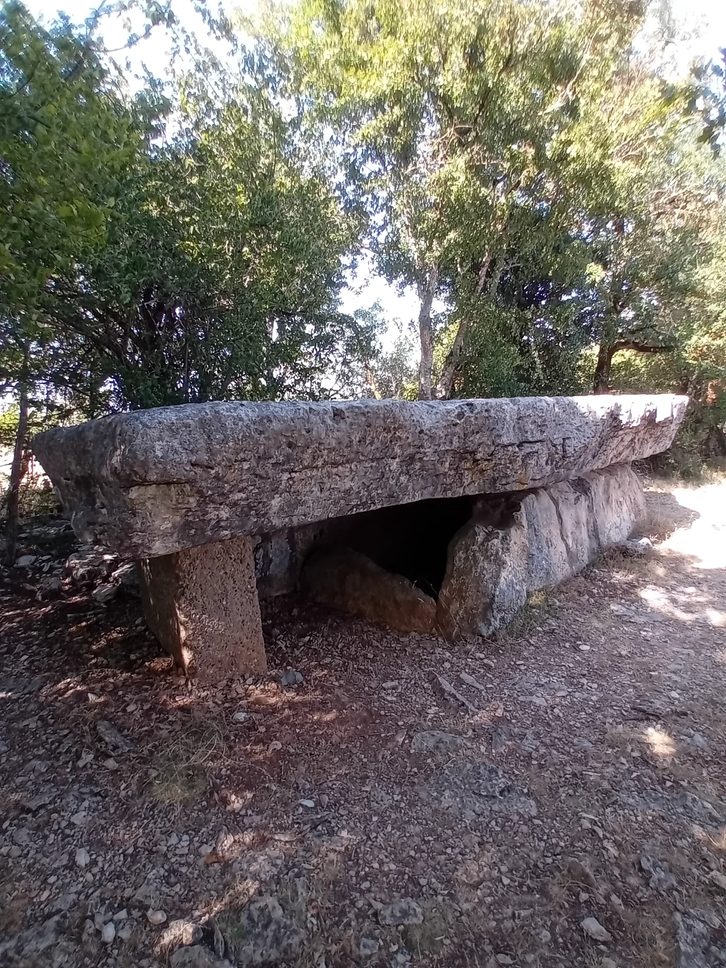 Dolmen de la pierre martine