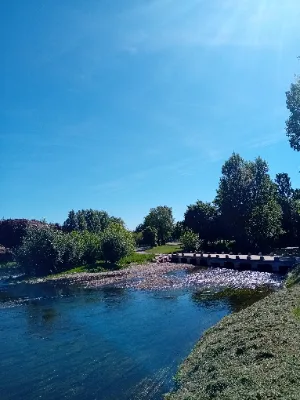 Île de la Bourgnatel — photo 2