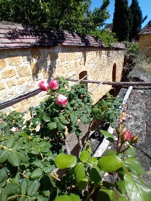 Les jardins de la rue Zigzag — photo 2