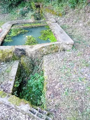 Source de Savy — photo 3
