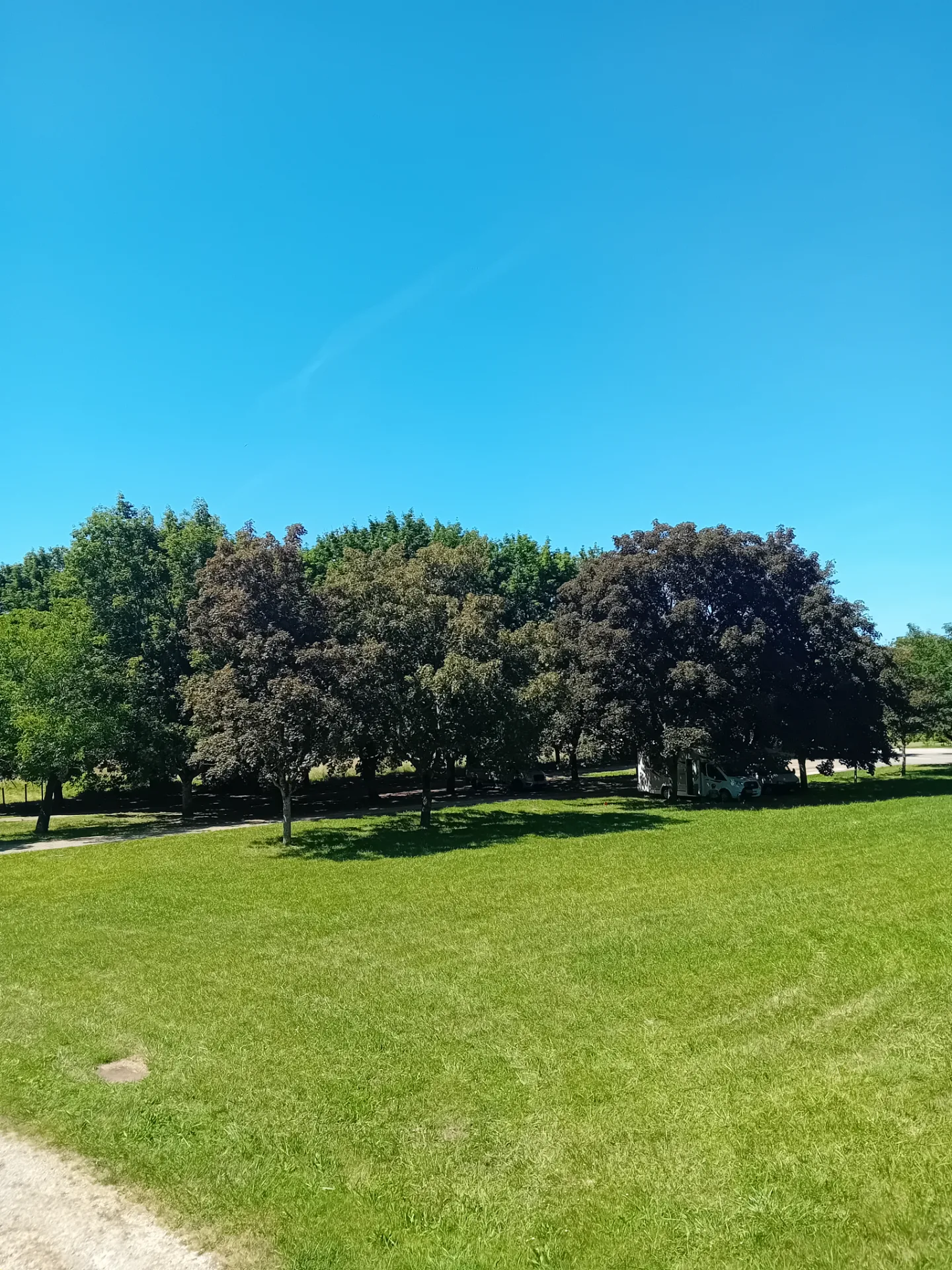 Parc van de Lacave