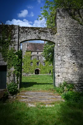 Château de Paley — photo 2