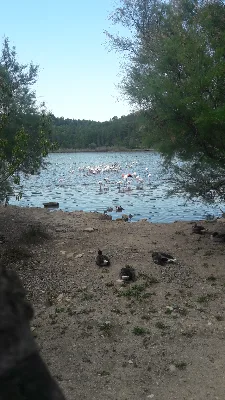 Etang de l'oeil du Chat — photo 2