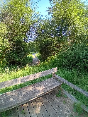 Zone humide de la clède — photo 4
