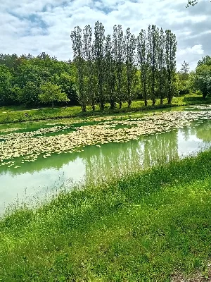 Lac du pont du gay — photo 4