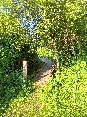 Zone humide de la clède — photo 2