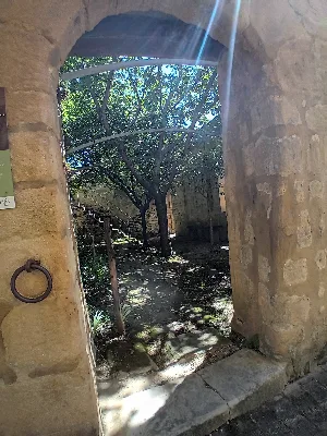 Les jardins de la rue Zigzag — photo 4