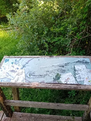 Zone humide de la clède — photo 5