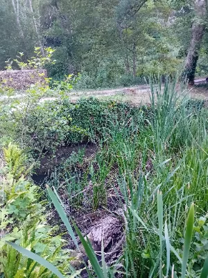 Ruines du moulin du Piage — photo 4