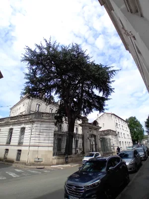 Géant de la banque — photo 1