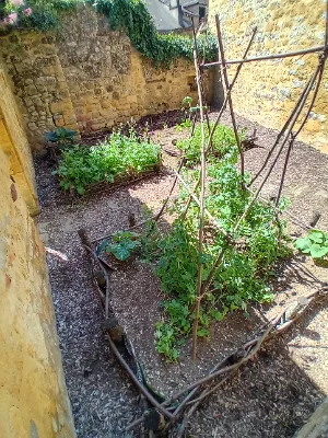 Les jardins de la rue Zigzag — photo 8