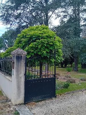 Manoir de la route brugue — photo 3