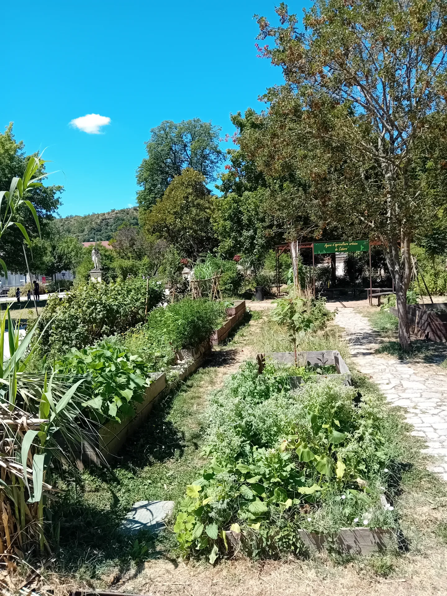 Agora d'agriculture urbaine