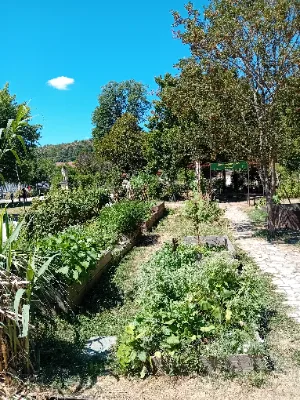 Agora d'agriculture urbaine — photo 1