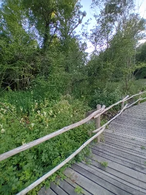 Espace protéger du Piage — photo 3