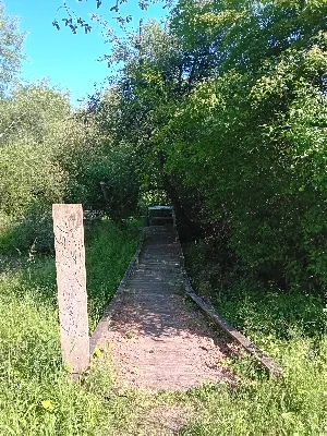 Zone humide de la clède — photo 7