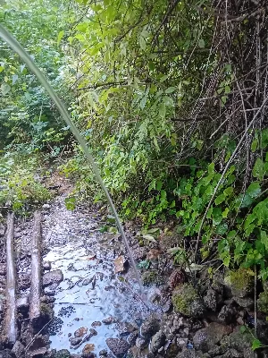 Source du Piage — photo 1