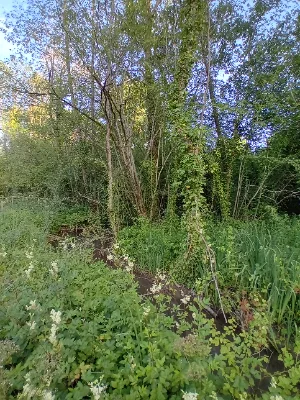 Espace protéger du Piage — photo 6