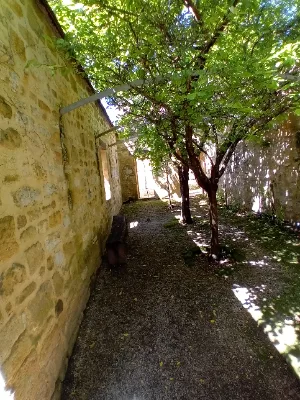 Les jardins de la rue Zigzag — photo 5