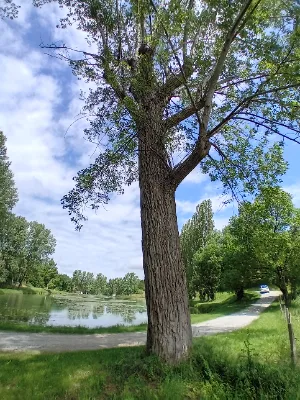 Lac du pont du gay — photo 3