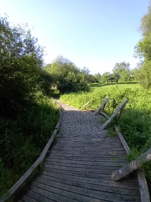 Zone humide de la clède — photo 1
