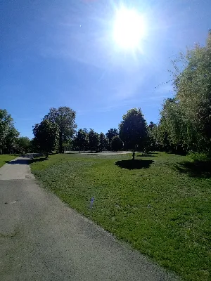 Île de la Bourgnatel — photo 5