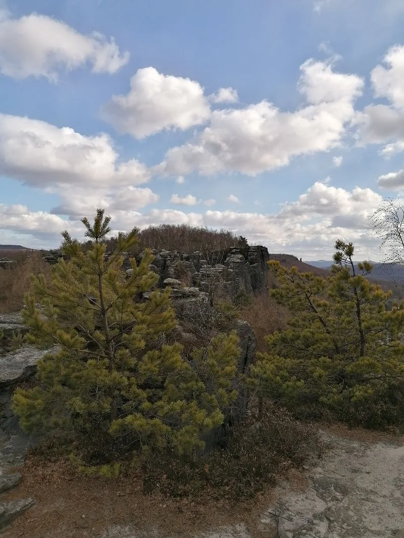Tyssaer Walls