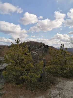 Tyssaer Walls