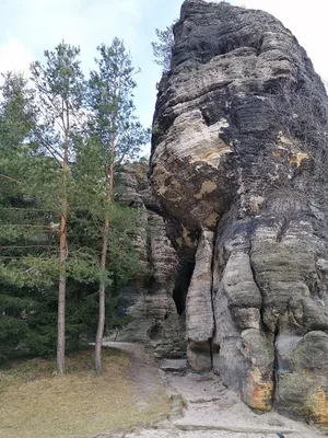 Tyssaer Walls — photo 3