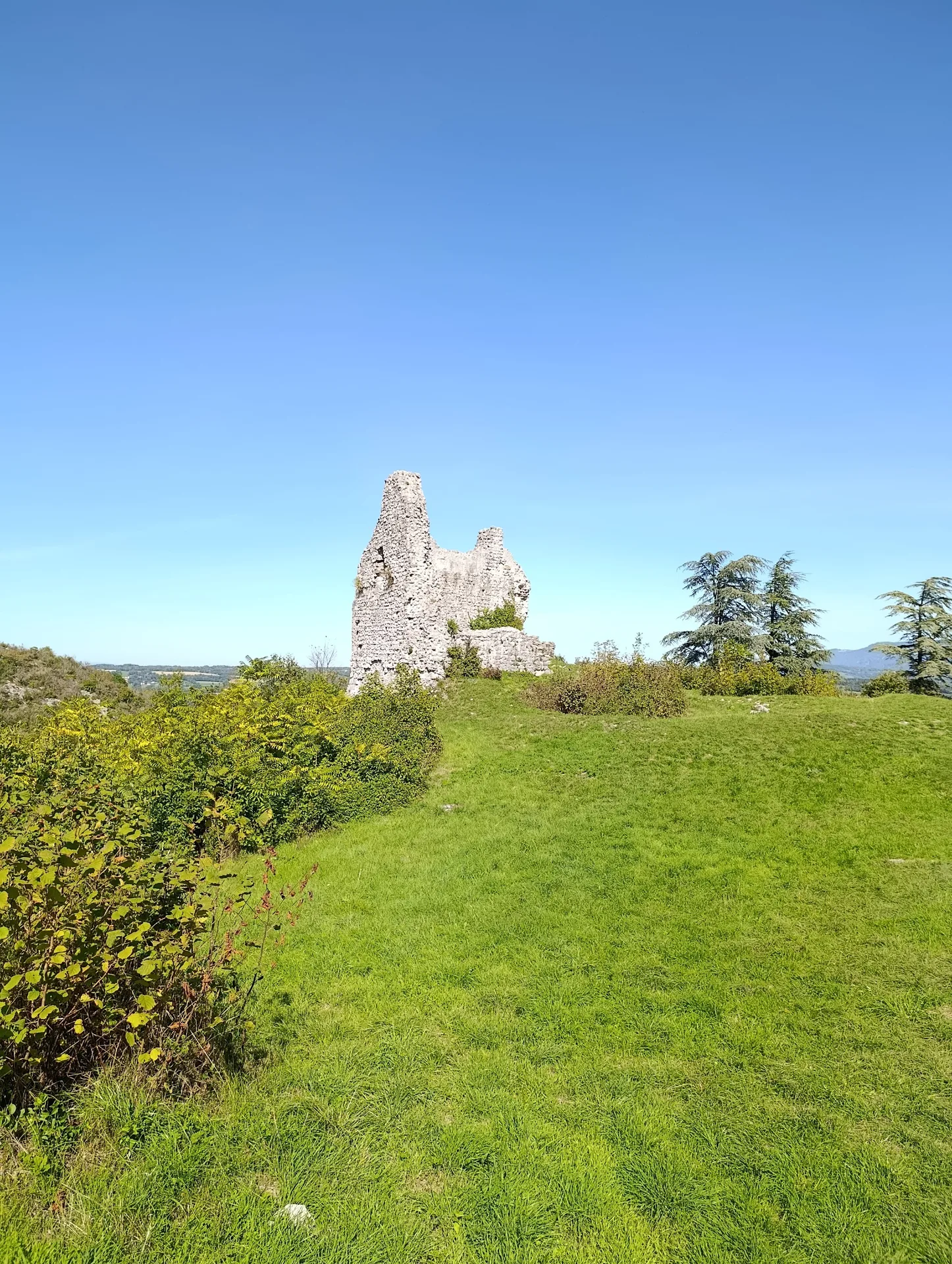 Les ruines du Château de Chaumont