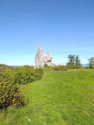Les ruines du Château de Chaumont — photo 1